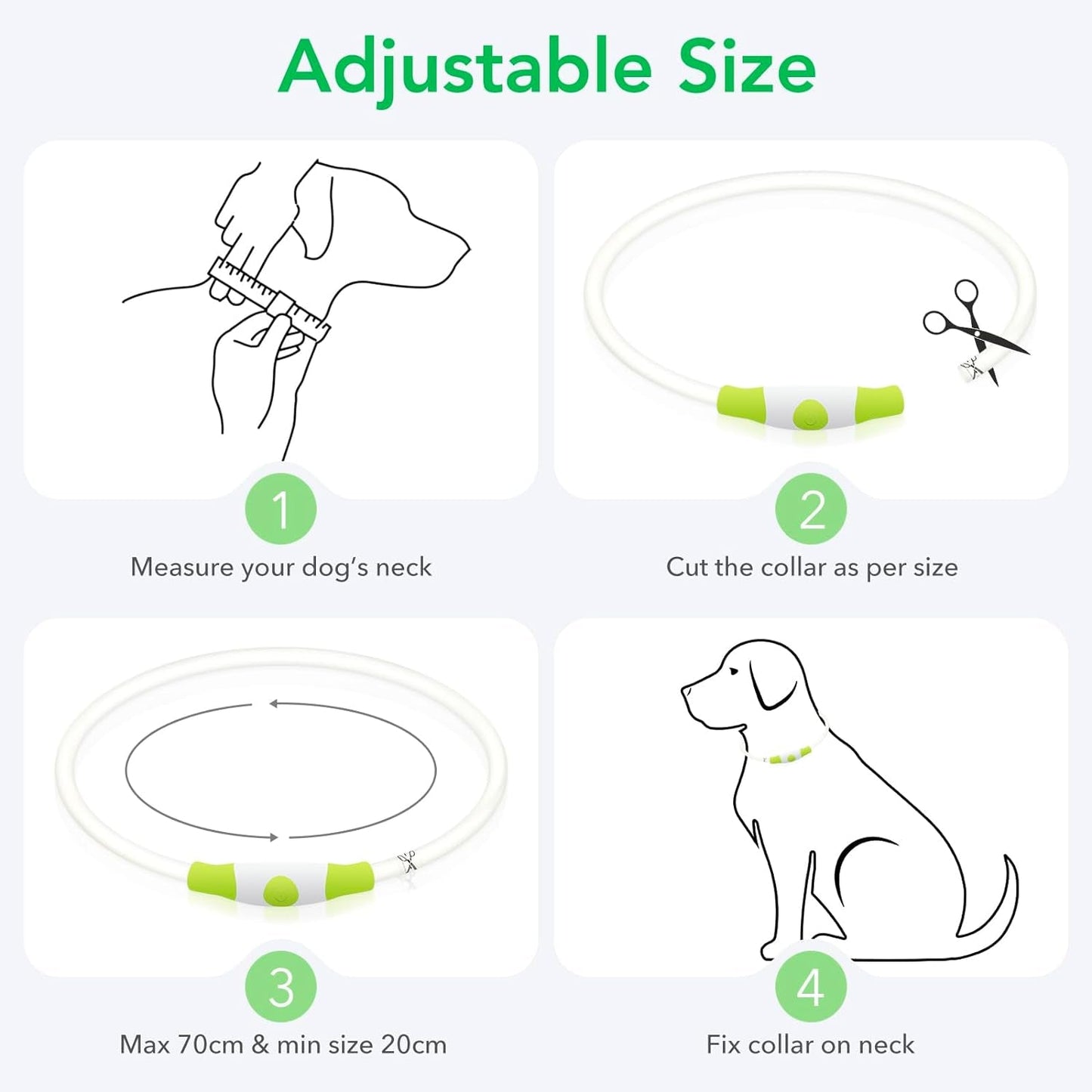 LED Dog Collar – USB Rechargeable Glow Safety Collar for All Dog Sizes