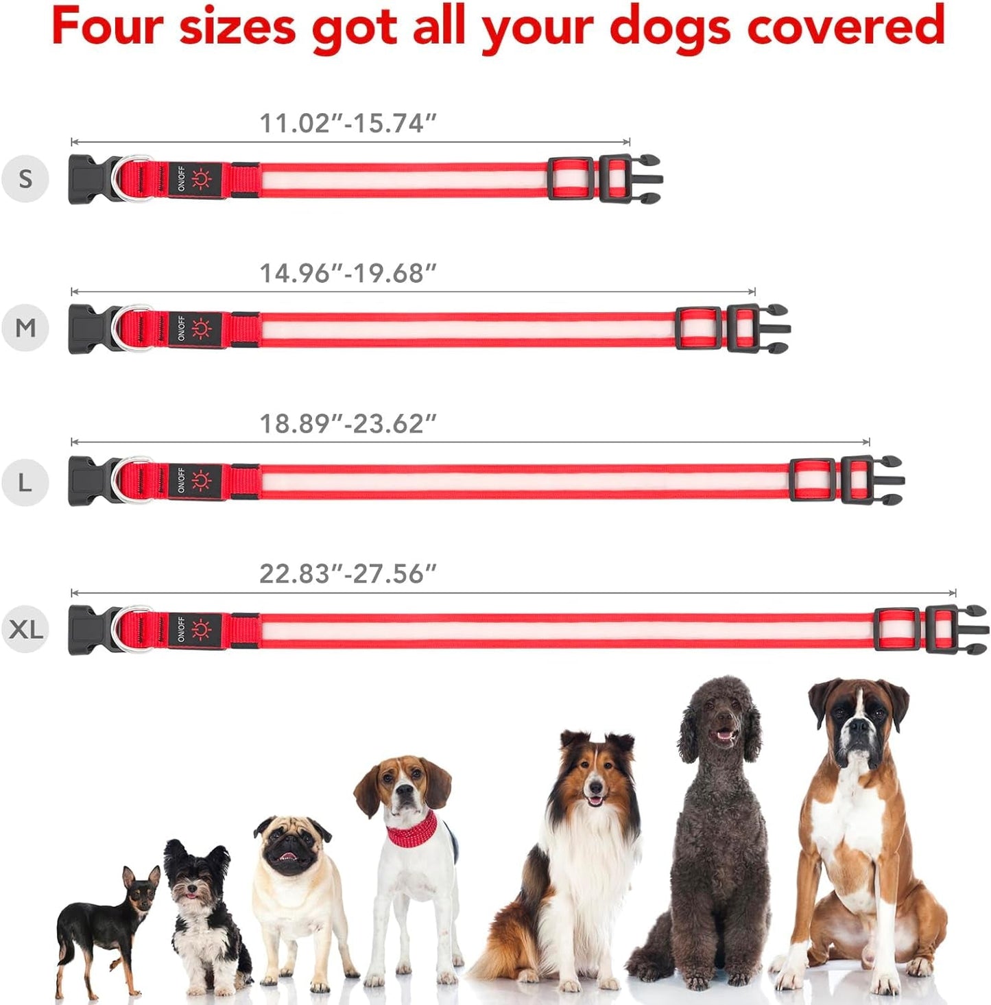 LED Dog Collar – Adjustable, Rechargeable, and Super Bright