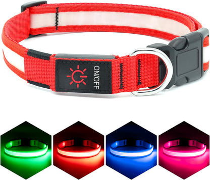 LED Dog Collar – Adjustable, Rechargeable, and Super Bright