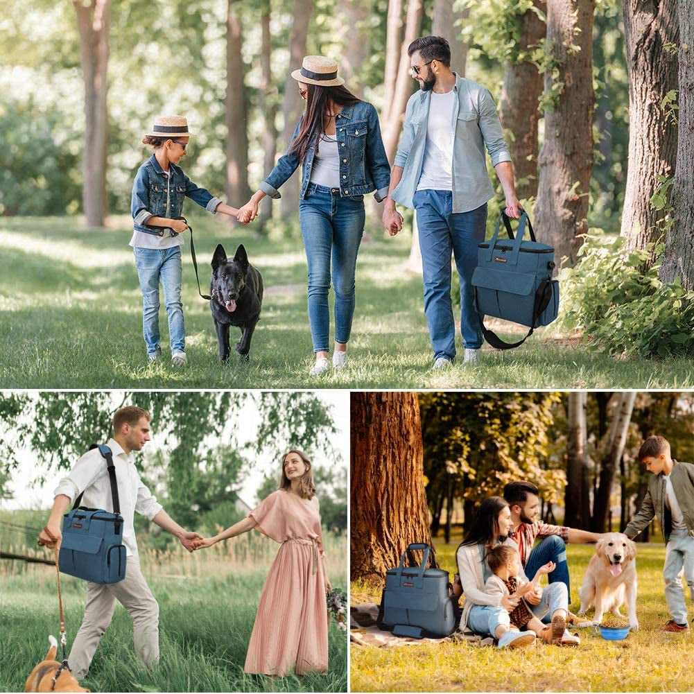 Dog Travel Kit: Bag, Collapsible Bowls, and Food Containers