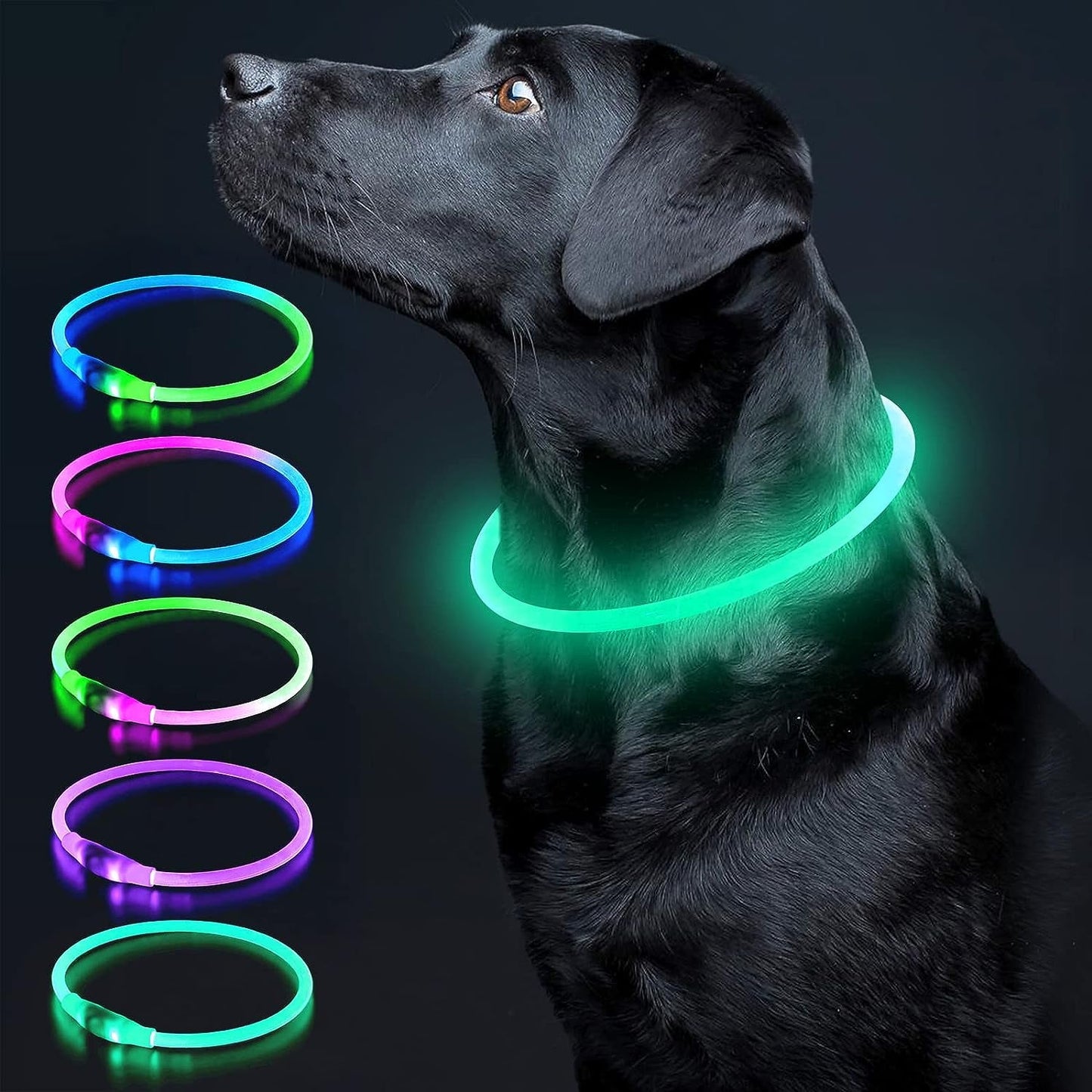 LED Dog Collar – USB Rechargeable Glow Safety Collar for All Dog Sizes