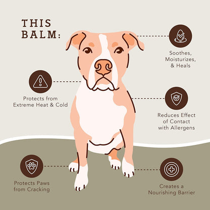 Pawtection Dog Paw Balm: Organic Protection for Paws