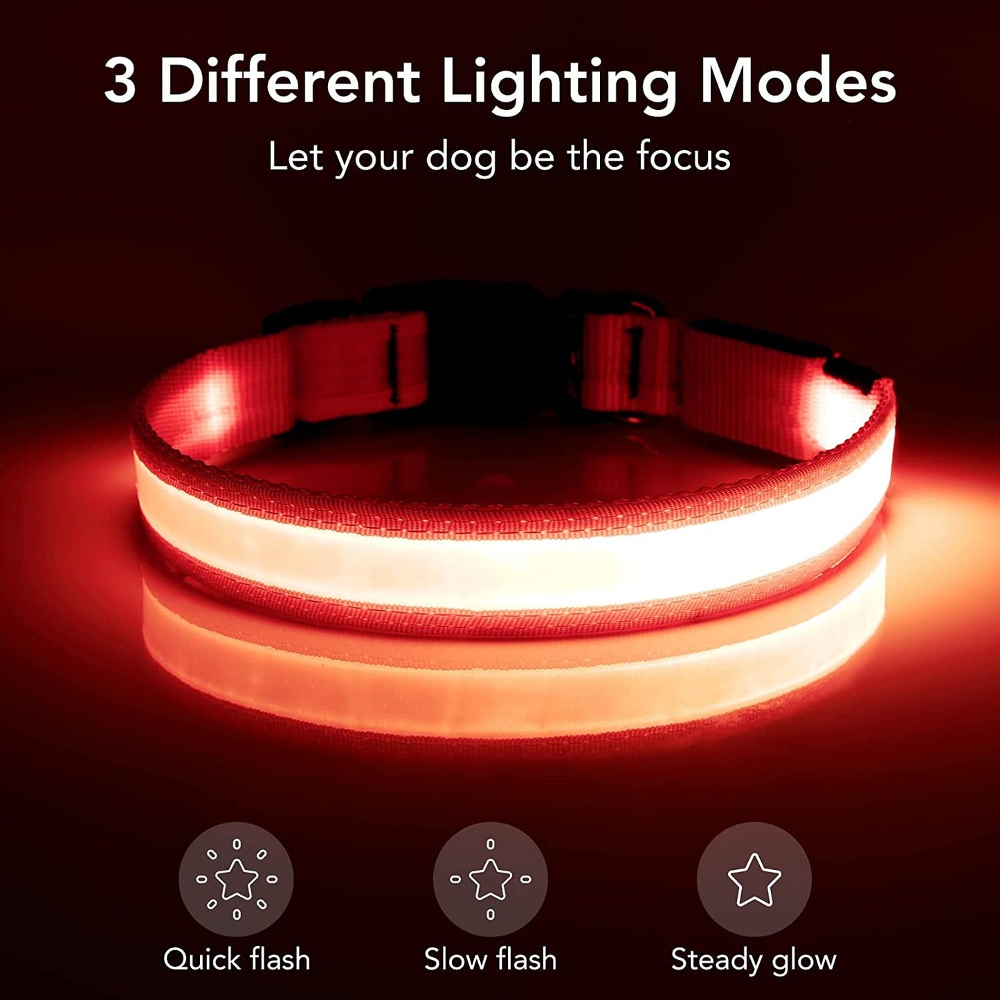 LED Dog Collar – Adjustable, Rechargeable, and Super Bright