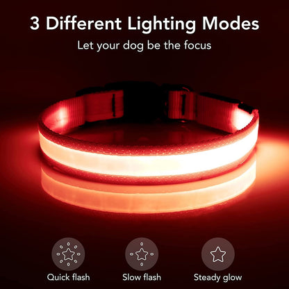 LED Dog Collar – Adjustable, Rechargeable, and Super Bright