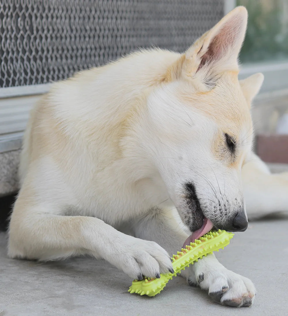 Pacific Pups 18-Pack Dog Chew Toys: Rope & Plush