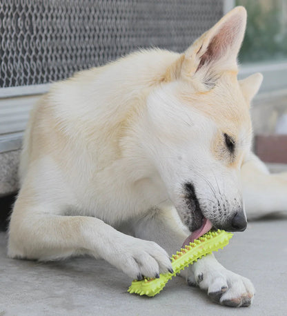Pacific Pups 18-Pack Dog Chew Toys: Rope & Plush