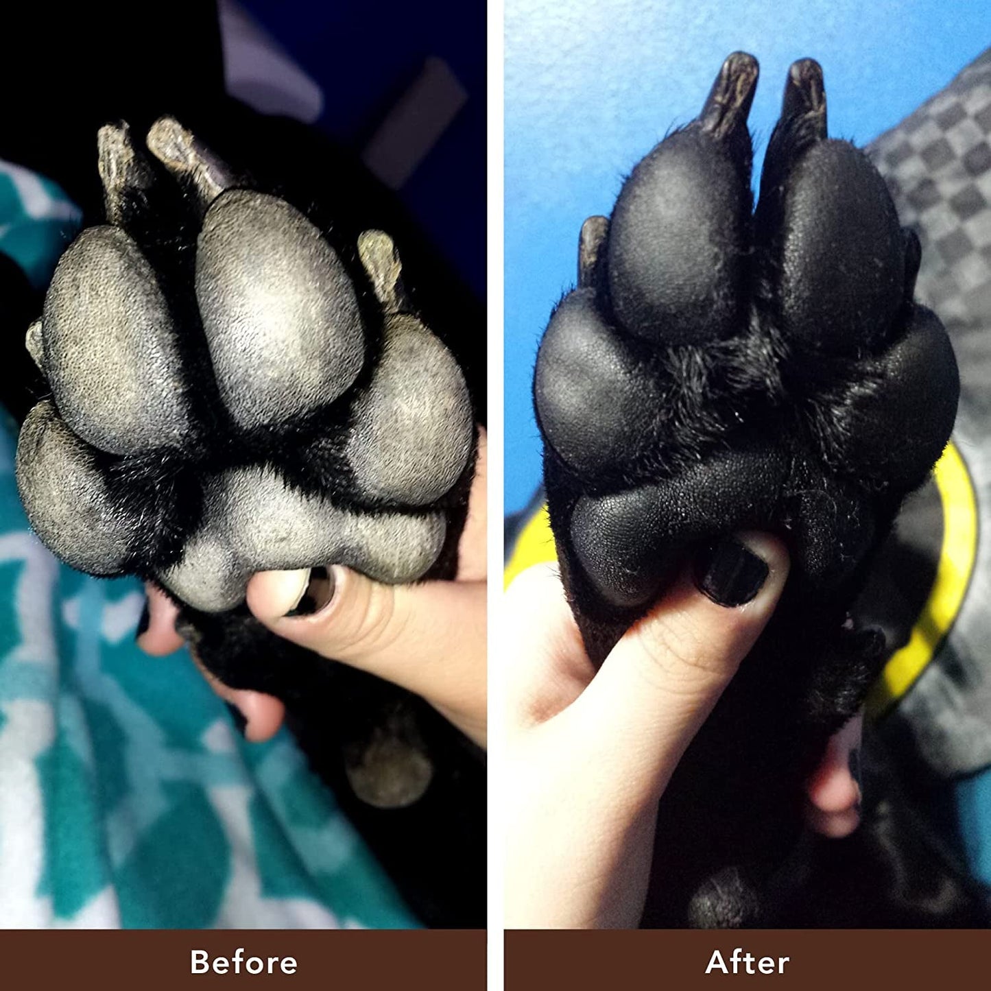 Pawtection Dog Paw Balm: Organic Protection for Paws