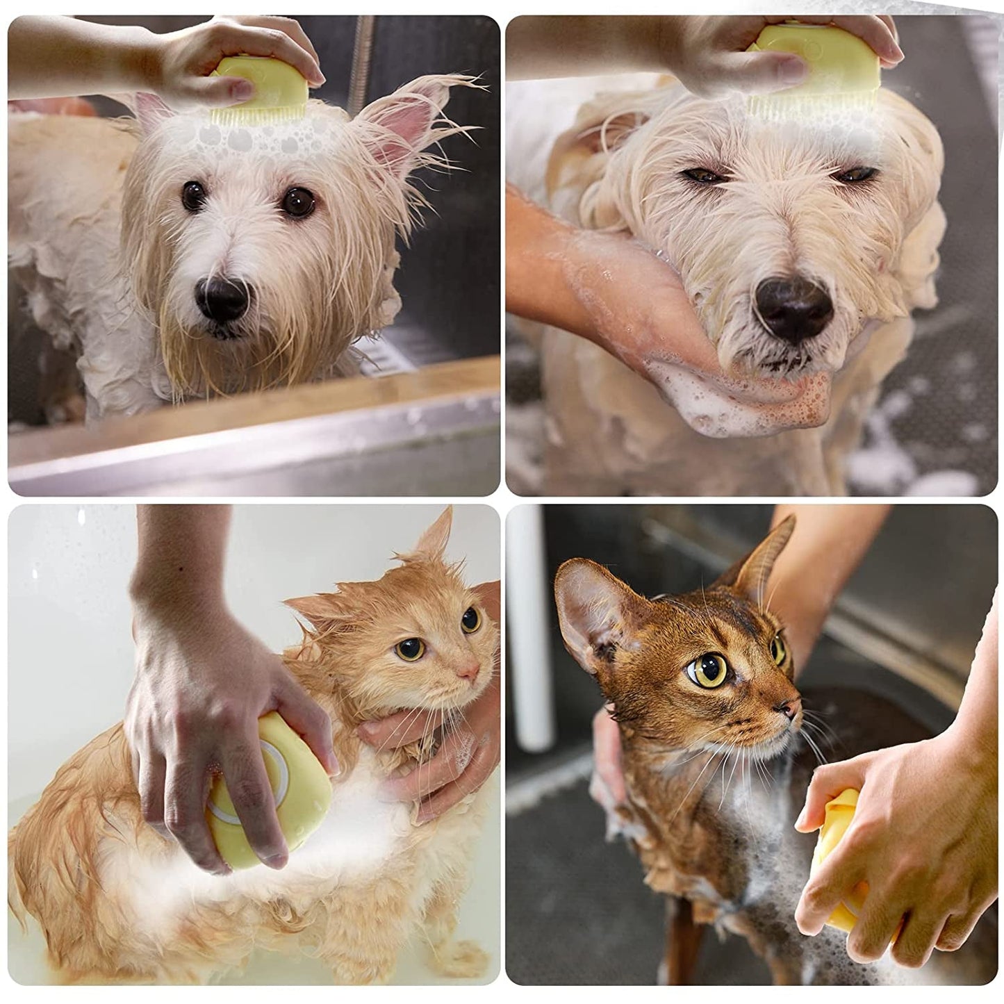 Dog Bath Brush with Shampoo Dispenser