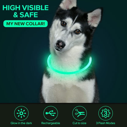 LED Dog Collar – USB Rechargeable Glow Safety Collar for All Dog Sizes