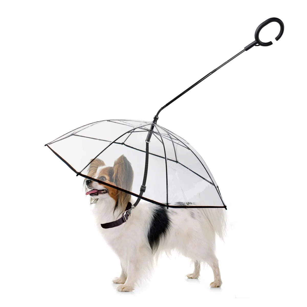 Clear Dog Umbrella with Flexible Handle and Rope for Small Pets