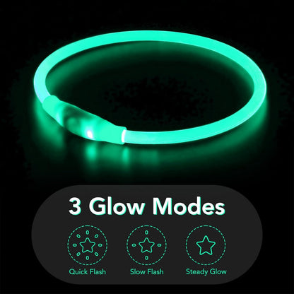LED Dog Collar – USB Rechargeable Glow Safety Collar for All Dog Sizes