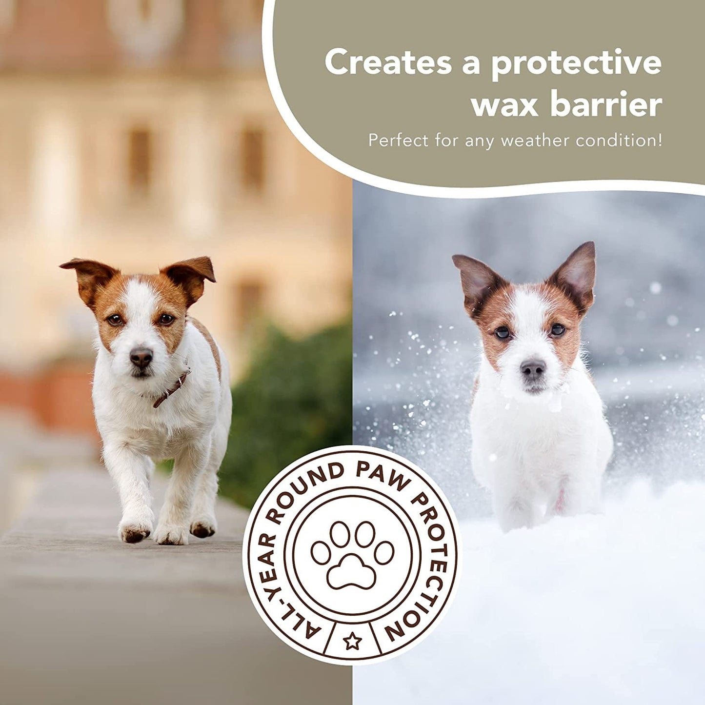 Pawtection Dog Paw Balm: Organic Protection for Paws