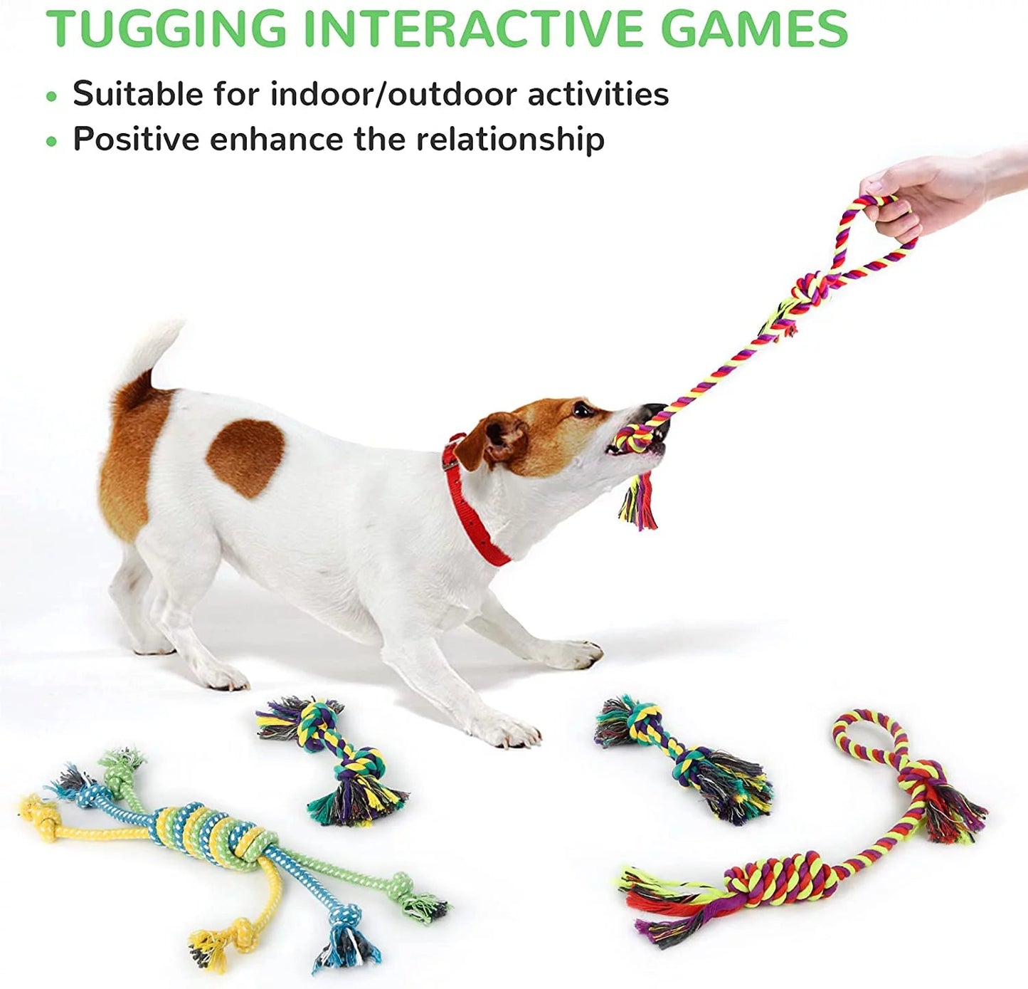 12-Pack Squeaky Dog Toys for Small Puppies
