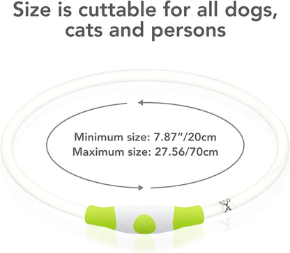 LED Dog Collar – USB Rechargeable Glow Safety Collar for All Dog Sizes