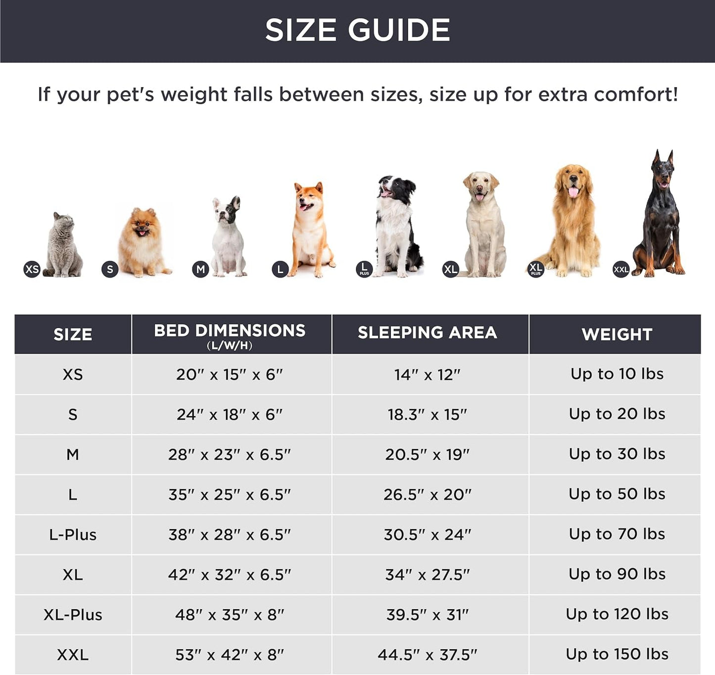Orthopedic Dog Bed for Medium Dogs