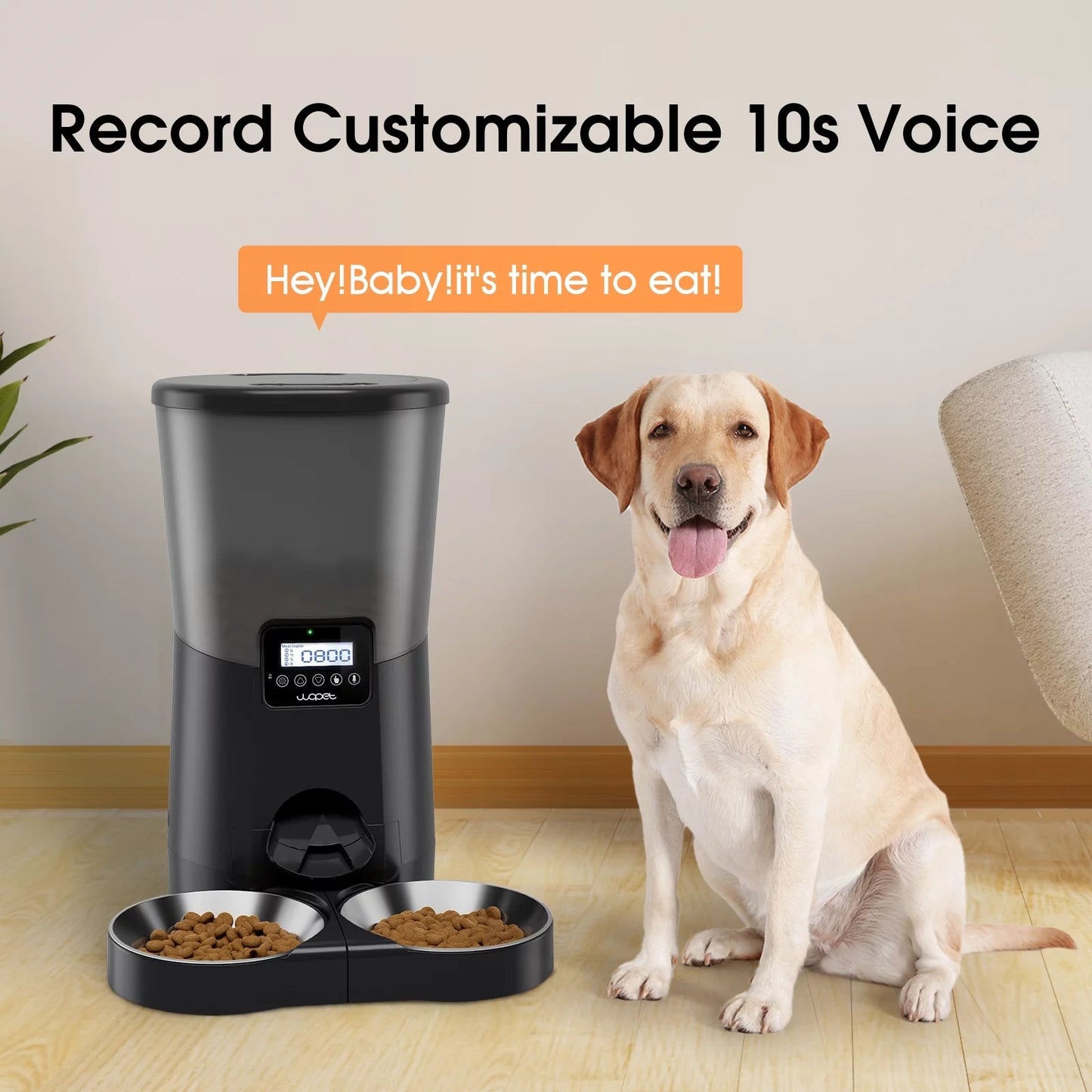 Automatic Pet Feeder with Dual Stainless Steel Bowls, 8L Capacity