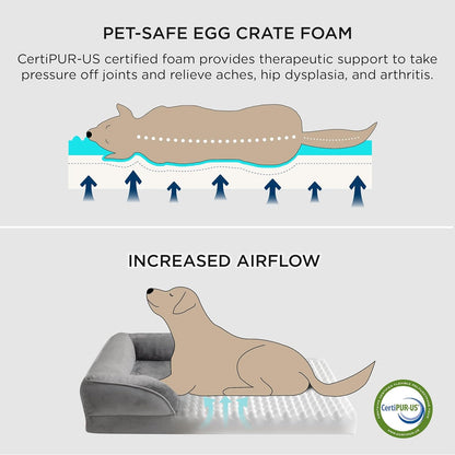 Orthopedic Dog Bed for Medium Dogs