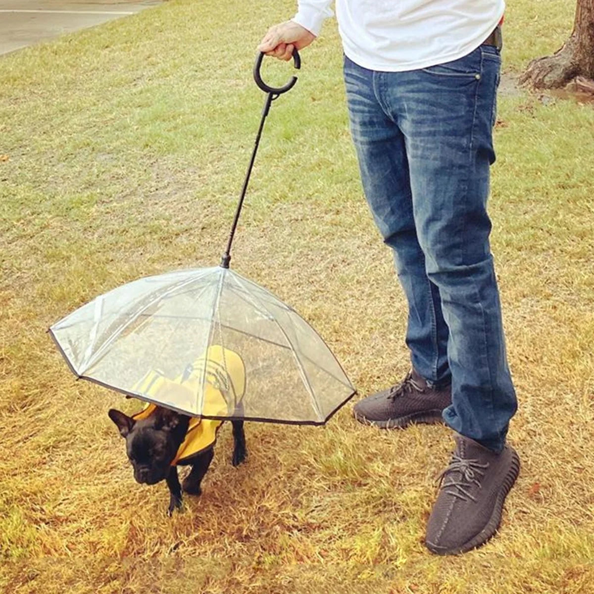 Clear Dog Umbrella with Flexible Handle and Rope for Small Pets
