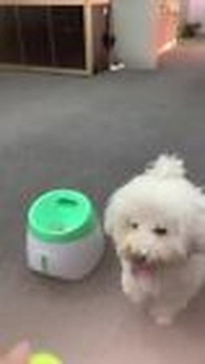 Automatic Dog Ball Launcher Toy