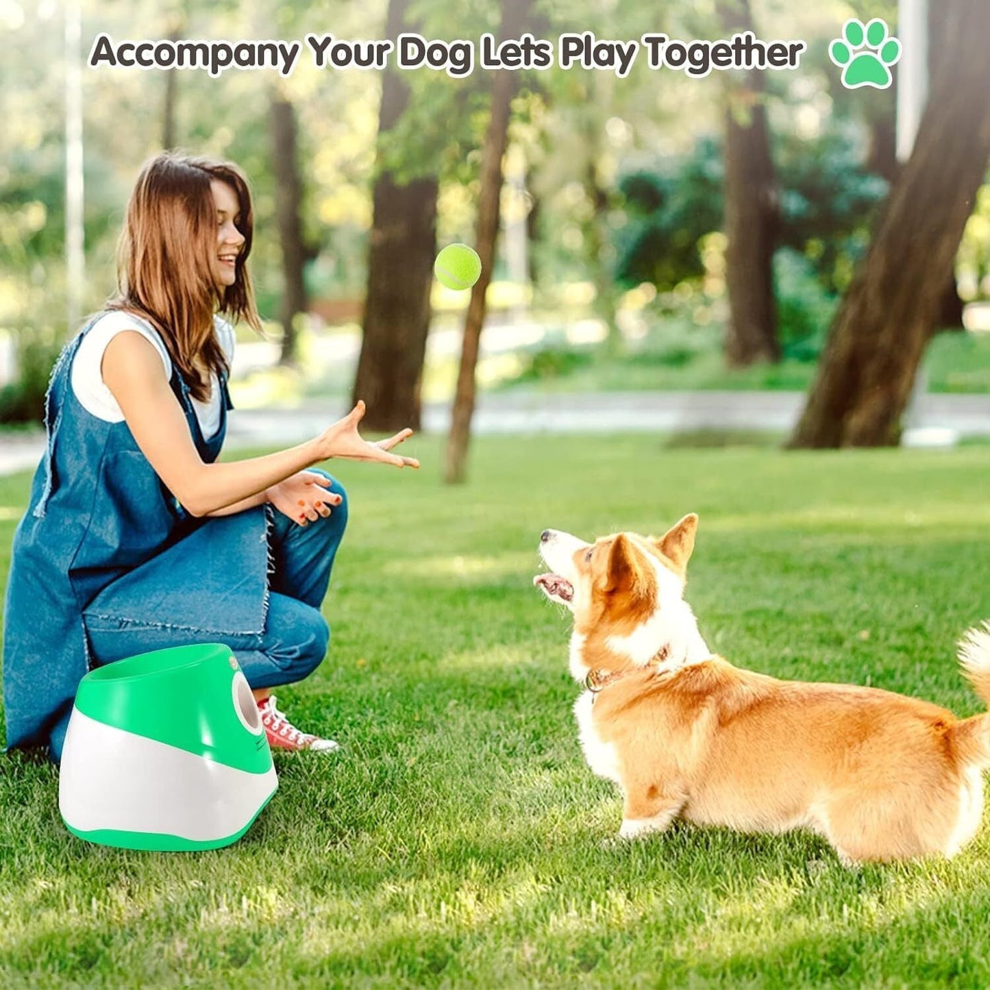 Automatic Dog Ball Launcher Toy