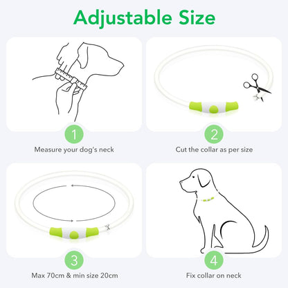 LED Dog Collar – USB Rechargeable Glow Safety Collar for All Dog Sizes