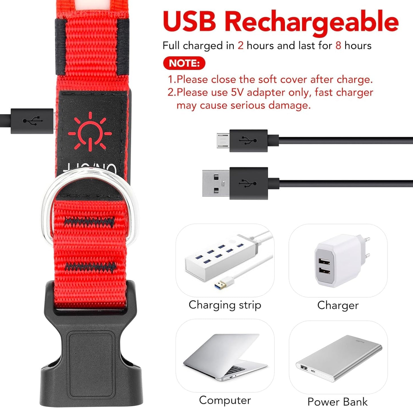 LED Dog Collar – Adjustable, Rechargeable, and Super Bright