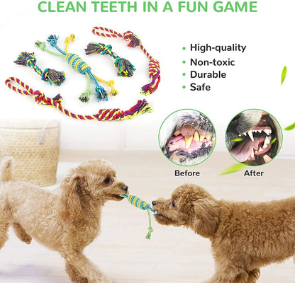 12-Pack Squeaky Dog Toys for Small Puppies