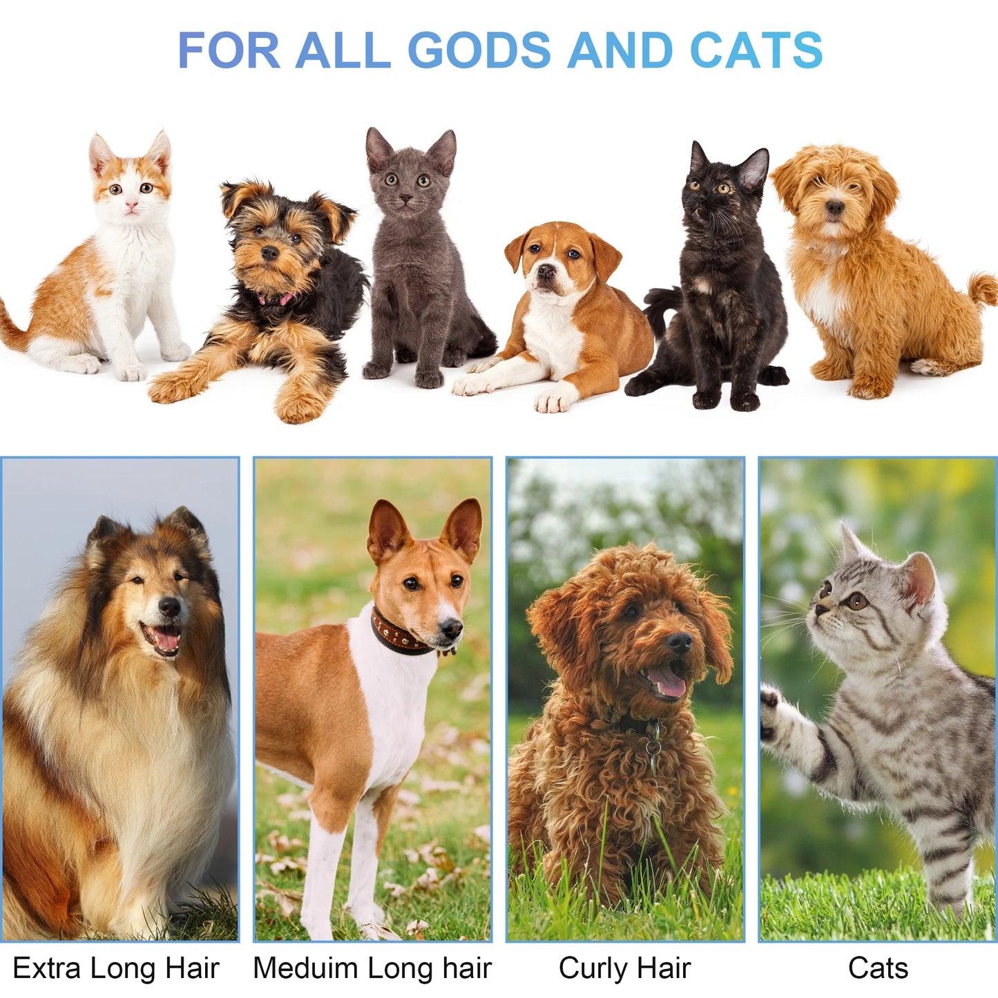 Rechargeable Dog Grooming Clippers