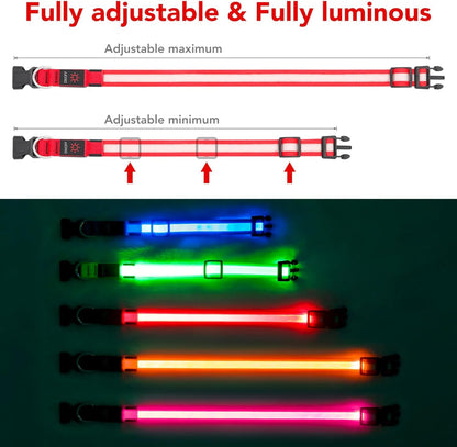 LED Dog Collar – Adjustable, Rechargeable, and Super Bright